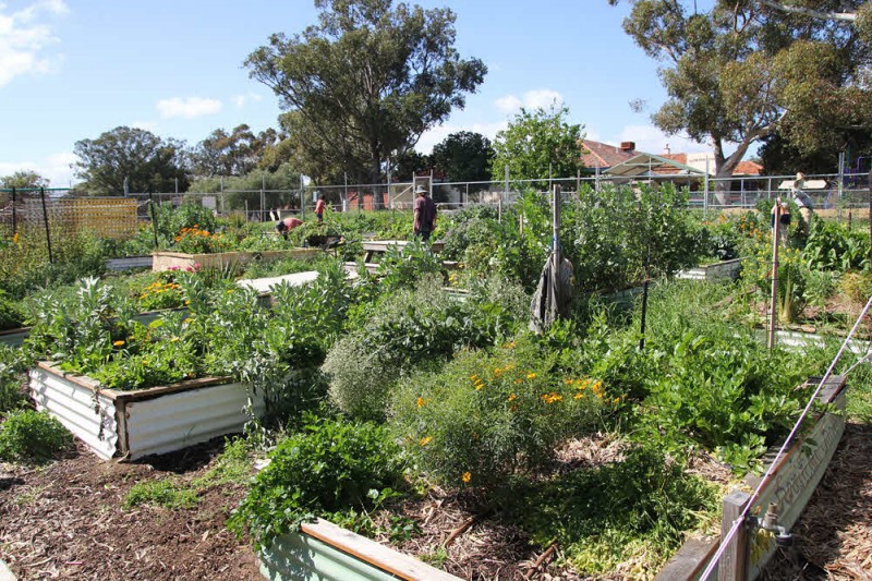Sustainable House Day Bus Tour - Hilton Harvest Community Garden