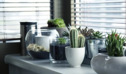 Interior Design - Eco Home Style